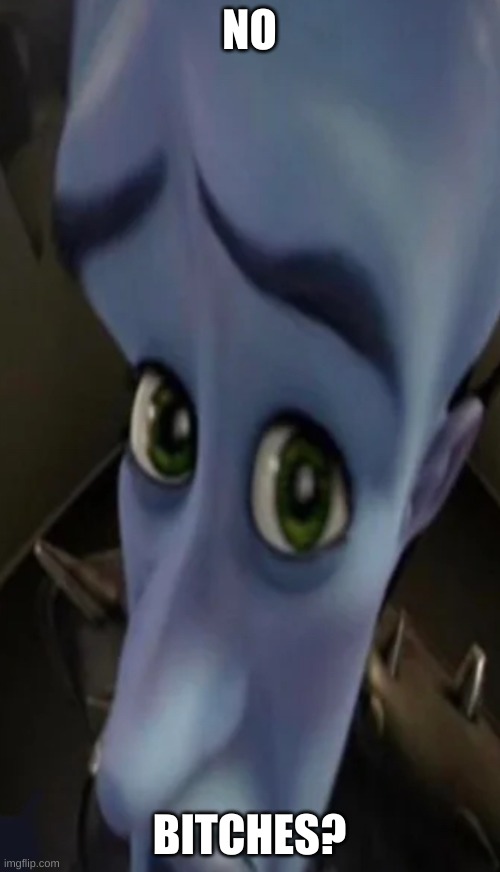 Megamind peeking | NO BITCHES? | image tagged in no bitches | made w/ Imgflip meme maker