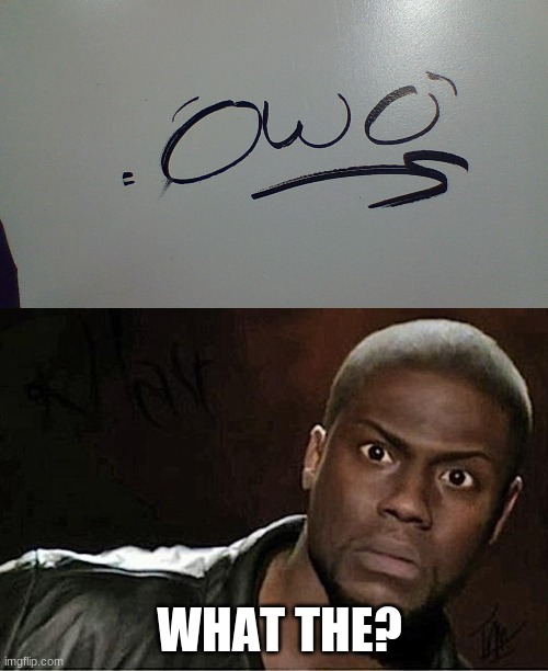 this is actually on my school wall | WHAT THE? | image tagged in memes,kevin hart,furry | made w/ Imgflip meme maker