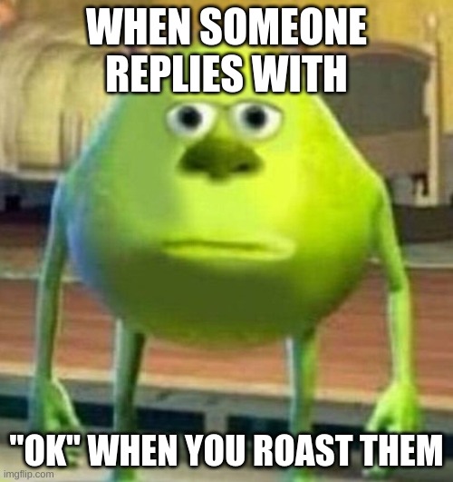 BRUH3000 | WHEN SOMEONE REPLIES WITH; "OK" WHEN YOU ROAST THEM | image tagged in mike wazowski | made w/ Imgflip meme maker