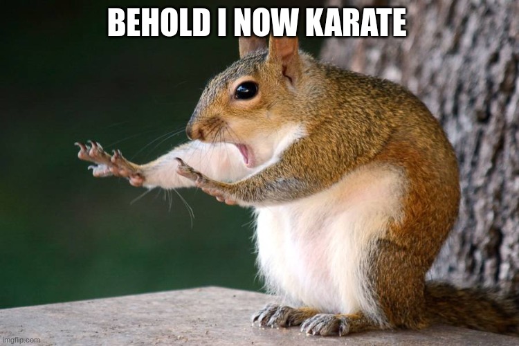 I know Karate | BEHOLD I NOW KARATE | image tagged in karate,behold | made w/ Imgflip meme maker