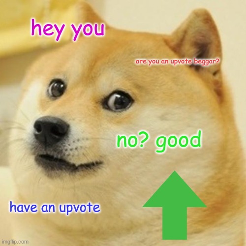 doge supports people who aren't upvote beggars | hey you; are you an upvote beggar? no? good; have an upvote | image tagged in memes,doge | made w/ Imgflip meme maker