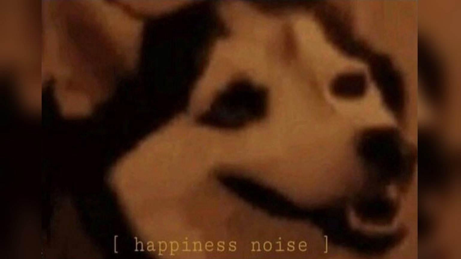 Happiness noise Blank Meme Template