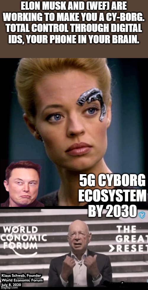 ELON MUSK AND (WEF) ARE WORKING TO MAKE YOU A CY-BORG. TOTAL CONTROL THROUGH DIGITAL IDS, YOUR PHONE IN YOUR BRAIN. 5G CYBORG ECOSYSTEM BY 2030 | image tagged in seven of nine serious,dr evil | made w/ Imgflip meme maker