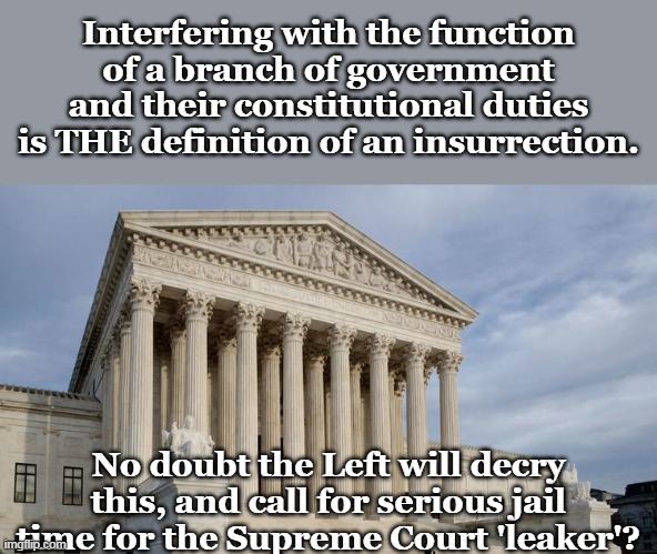 If it were not for double standards, liberals would have no standards at all. | Interfering with the function of a branch of government and their constitutional duties is THE definition of an insurrection. No doubt the Left will decry this, and call for serious jail time for the Supreme Court 'leaker'? | image tagged in supreme court,leaks,abortion is murder | made w/ Imgflip meme maker