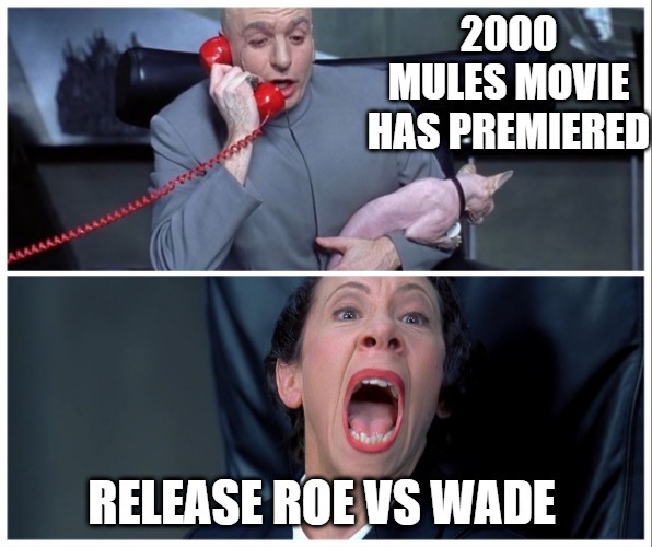 Today's Narrative | image tagged in 2000 mules,roe vs wade,scotus | made w/ Imgflip meme maker