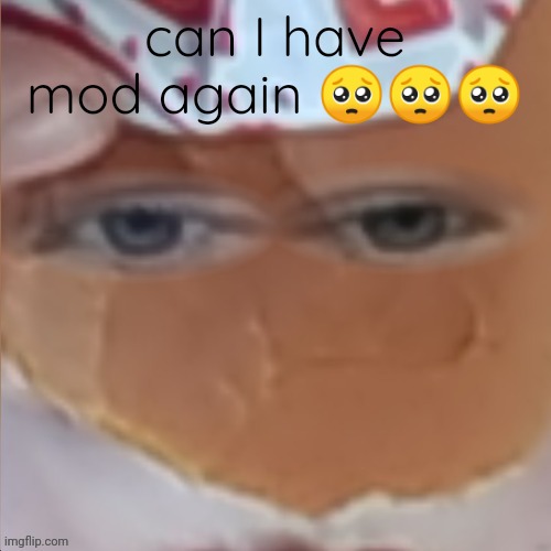 lucotIC | can I have mod again 🥺🥺🥺 | image tagged in borger | made w/ Imgflip meme maker