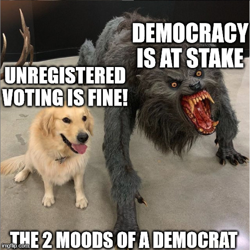Their final play is always protecting the precious "democracy" lolz | DEMOCRACY IS AT STAKE; UNREGISTERED VOTING IS FINE! THE 2 MOODS OF A DEMOCRAT | image tagged in dog vs werewolf,i love democracy,democrats,liberal logic,voting | made w/ Imgflip meme maker