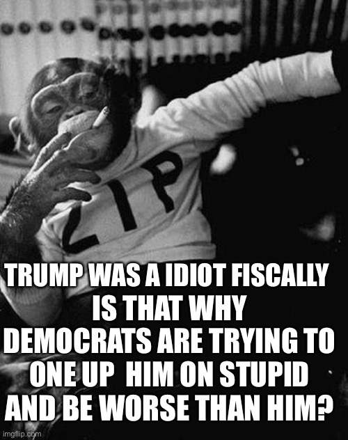 Zip the Smoking Chimp | IS THAT WHY DEMOCRATS ARE TRYING TO ONE UP  HIM ON STUPID TRUMP WAS A IDIOT FISCALLY AND BE WORSE THAN HIM? | image tagged in zip the smoking chimp | made w/ Imgflip meme maker