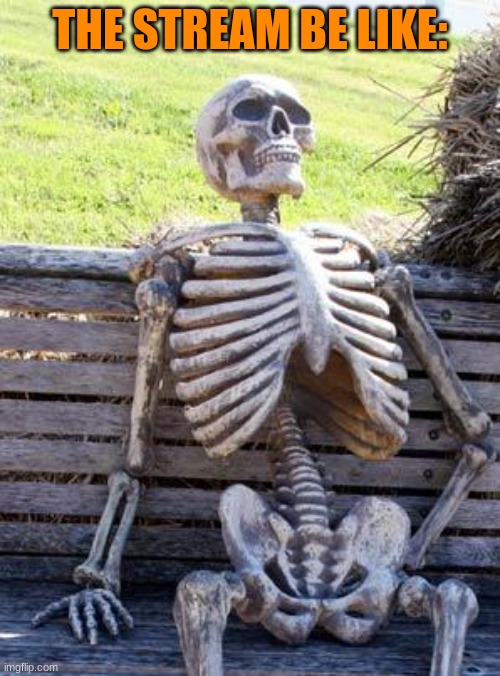 DEAD | THE STREAM BE LIKE: | image tagged in memes,waiting skeleton | made w/ Imgflip meme maker