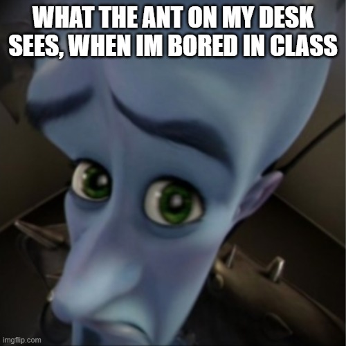 bored | WHAT THE ANT ON MY DESK SEES, WHEN IM BORED IN CLASS | image tagged in megamind peeking | made w/ Imgflip meme maker