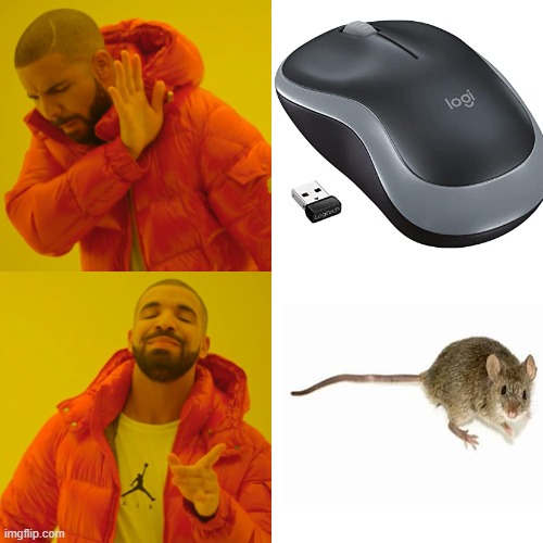 mouse vs mouse | image tagged in memes,drake hotline bling | made w/ Imgflip meme maker