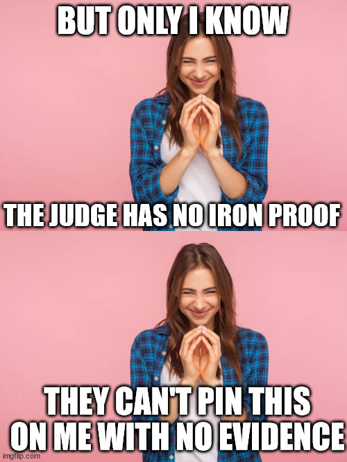 BUT ONLY I KNOW THE JUDGE HAS NO IRON PROOF THEY CAN'T PIN THIS ON ME WITH NO EVIDENCE | made w/ Imgflip meme maker