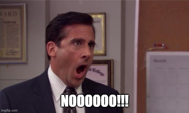 noooooo | NOOOOOO!!! | image tagged in noooooo | made w/ Imgflip meme maker