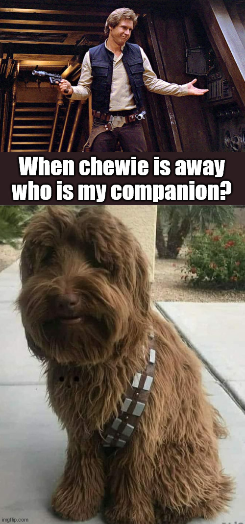 When chewie is away who is my companion? | image tagged in han solo who me,starwars | made w/ Imgflip meme maker