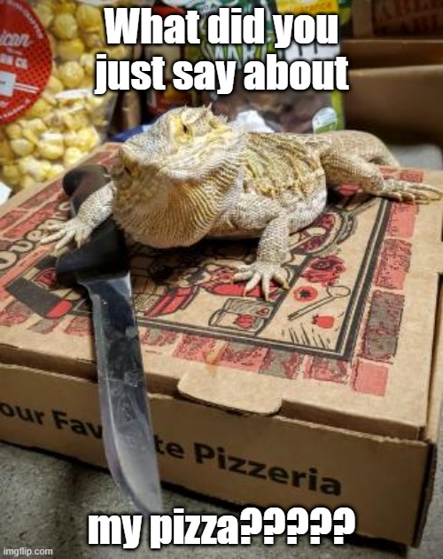 Don't talk smack about me pizza :< | What did you just say about; my pizza????? | image tagged in funny,animal,pizza,funny meme,funny memes | made w/ Imgflip meme maker