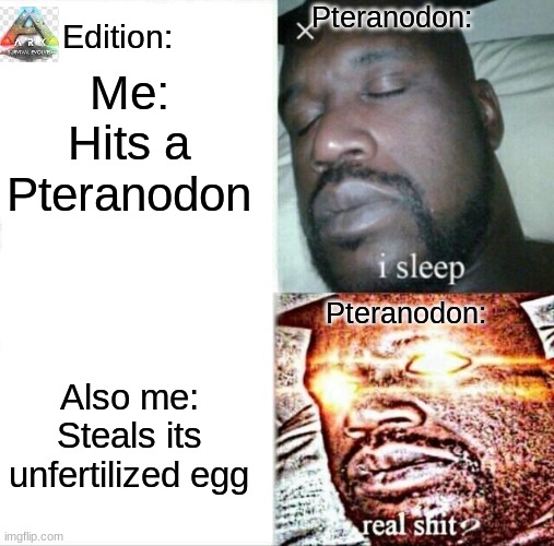 Sleeping Shaq Meme | Me: Hits a Pteranodon; Pteranodon:; Edition:; Pteranodon:; Also me: Steals its unfertilized egg | image tagged in memes,sleeping shaq | made w/ Imgflip meme maker