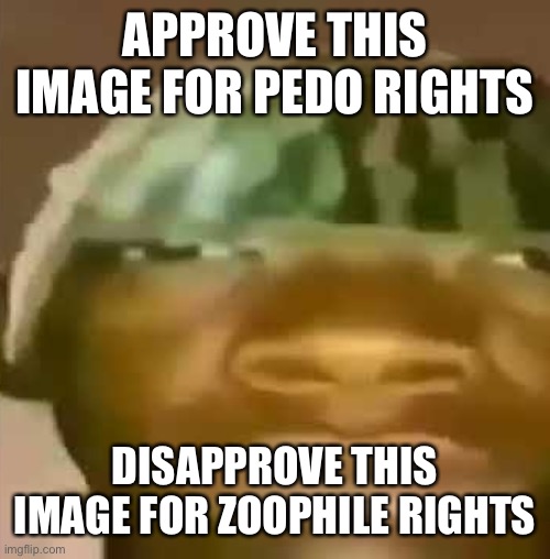 shitpost | APPROVE THIS IMAGE FOR PEDO RIGHTS; DISAPPROVE THIS IMAGE FOR ZOOPHILE RIGHTS | image tagged in shitpost | made w/ Imgflip meme maker