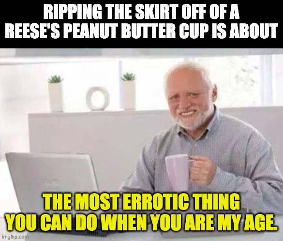 Skirt | RIPPING THE SKIRT OFF OF A REESE'S PEANUT BUTTER CUP IS ABOUT; THE MOST ERROTIC THING YOU CAN DO WHEN YOU ARE MY AGE. | image tagged in harold | made w/ Imgflip meme maker