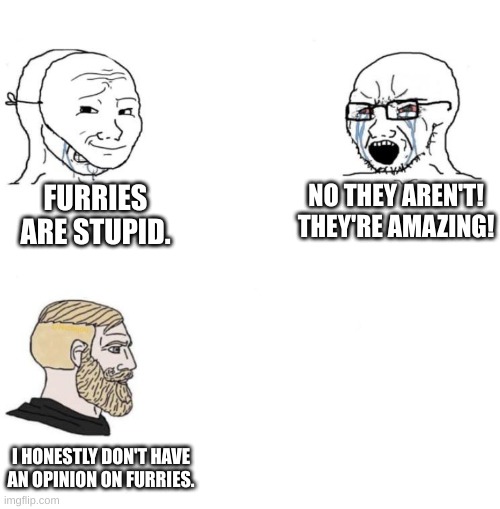 i've never met a furry so idk |  FURRIES ARE STUPID. NO THEY AREN'T! THEY'RE AMAZING! I HONESTLY DON'T HAVE AN OPINION ON FURRIES. | image tagged in chad we know,furries | made w/ Imgflip meme maker