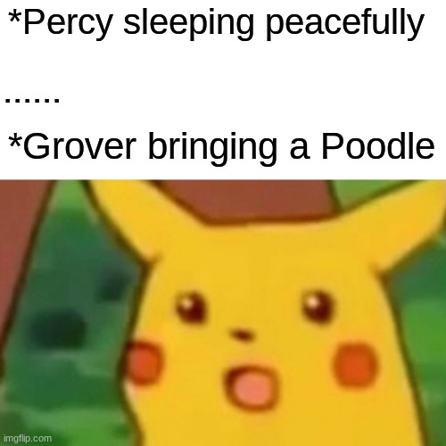 Percy's action against Poodle's | *Percy sleeping peacefully; ...... *Grover bringing a Poodle | image tagged in memes,surprised pikachu | made w/ Imgflip meme maker