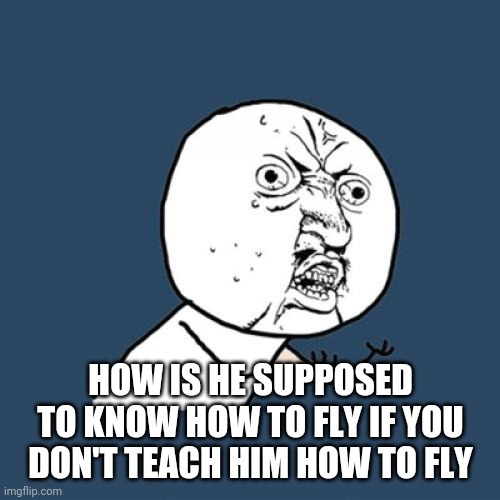 Y U No Meme | HOW IS HE SUPPOSED TO KNOW HOW TO FLY IF YOU DON'T TEACH HIM HOW TO FLY | image tagged in memes,y u no | made w/ Imgflip meme maker