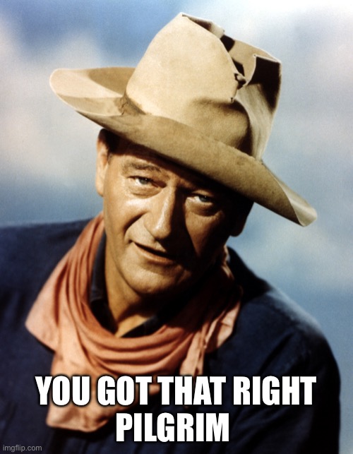 John Wayne | YOU GOT THAT RIGHT
PILGRIM | image tagged in john wayne | made w/ Imgflip meme maker