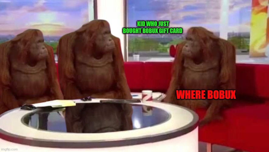 where monkey | KID WHO JUST BOUGHT BOBUX GIFT CARD; WHERE BOBUX | image tagged in where monkey | made w/ Imgflip meme maker