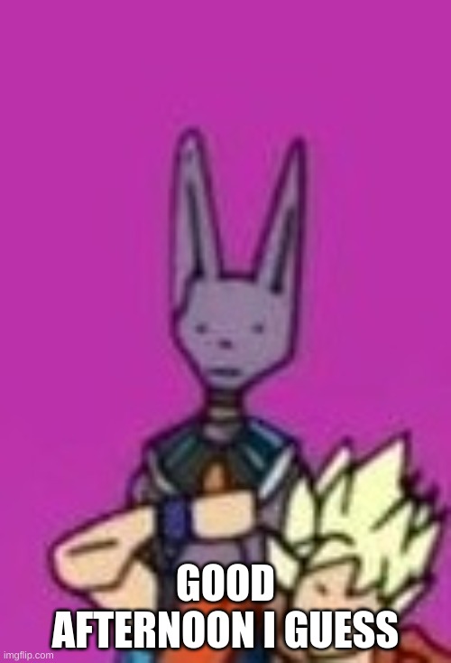 Ditto Beerus | GOOD AFTERNOON I GUESS | image tagged in ditto beerus | made w/ Imgflip meme maker