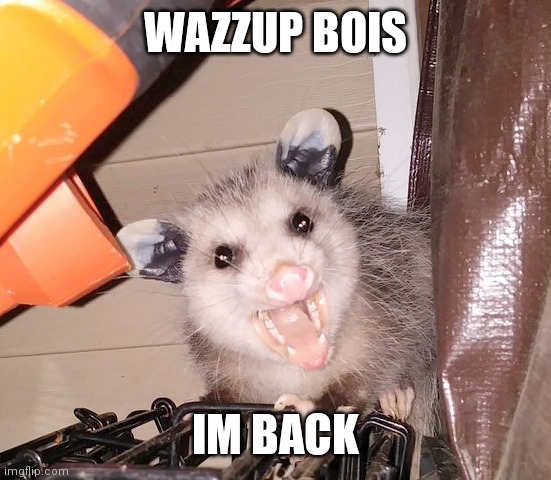 HEY | WAZZUP BOIS; IM BACK | image tagged in wazzup | made w/ Imgflip meme maker
