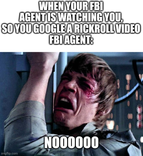 Nooo | WHEN YOUR FBI AGENT IS WATCHING YOU, SO YOU GOOGLE A RICKROLL VIDEO
FBI AGENT:; NOOOOOO | image tagged in nooo | made w/ Imgflip meme maker