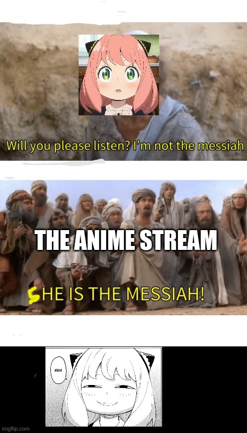 He is the messiah | THE ANIME STREAM | image tagged in he is the messiah | made w/ Imgflip meme maker