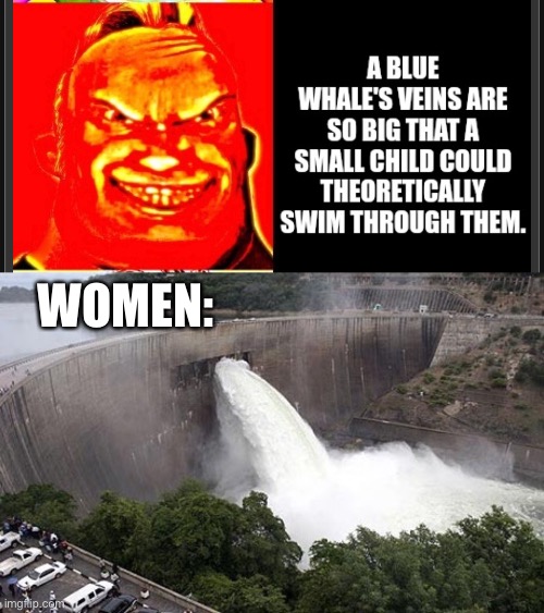 WOMEN: | image tagged in floodgate | made w/ Imgflip meme maker