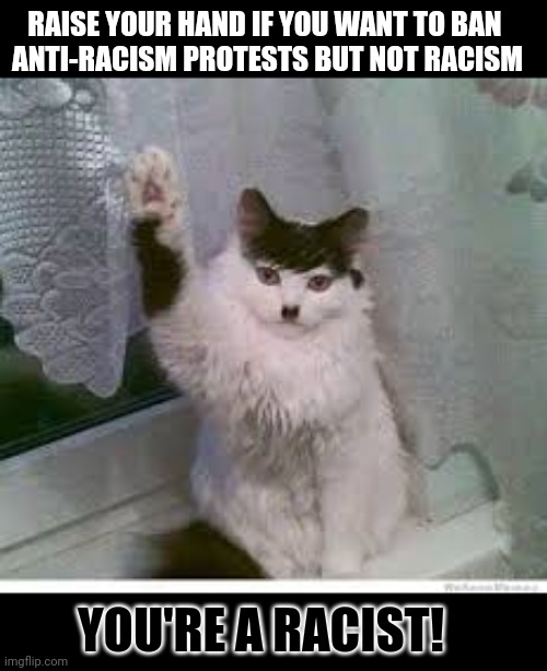 This #lolcat wonders why some want to ban anti-racism protests but are okay with racism | RAISE YOUR HAND IF YOU WANT TO BAN 
ANTI-RACISM PROTESTS BUT NOT RACISM; YOU'RE A RACIST! | image tagged in racism,lolcat,think about it,protest,antifa | made w/ Imgflip meme maker