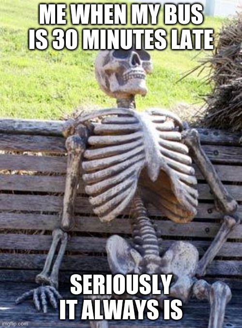 Waiting Skeleton | ME WHEN MY BUS IS 30 MINUTES LATE; SERIOUSLY IT ALWAYS IS | image tagged in memes,waiting skeleton | made w/ Imgflip meme maker