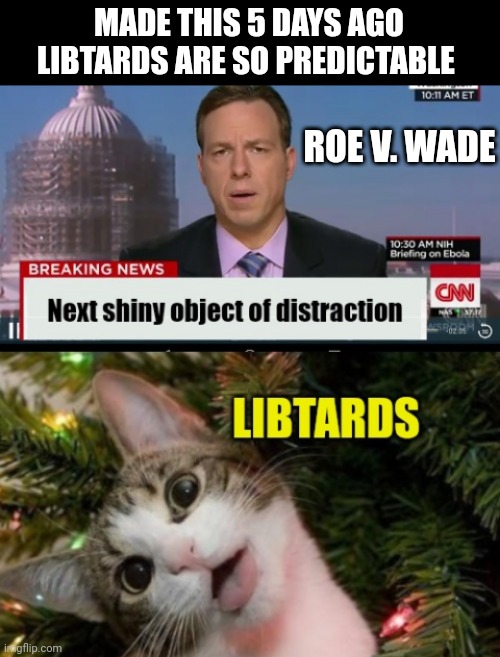 MADE THIS 5 DAYS AGO LIBTARDS ARE SO PREDICTABLE; ROE V. WADE | made w/ Imgflip meme maker