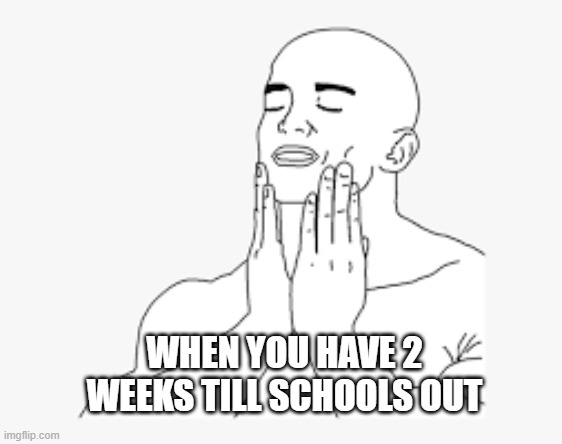 freedom is just around the corner! | WHEN YOU HAVE 2 WEEKS TILL SCHOOLS OUT | image tagged in feels good man | made w/ Imgflip meme maker