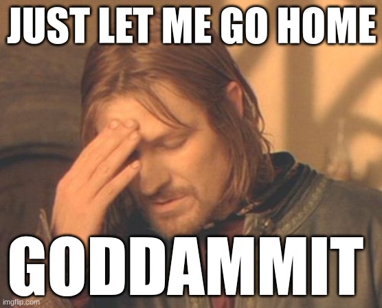 Frustrated Boromir | JUST LET ME GO HOME; GODDAMMIT | image tagged in memes,frustrated boromir | made w/ Imgflip meme maker