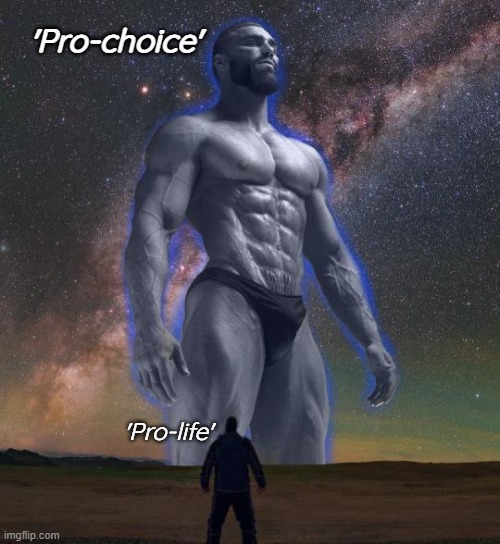 Abortion is a human right | 'Pro-choice'; 'Pro-life' | image tagged in gigachad vs smol boi,abortion,roe v wade | made w/ Imgflip meme maker