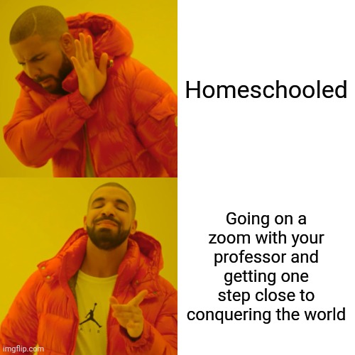 Drake Hotline Bling | Homeschooled; Going on a zoom with your professor and getting one step close to conquering the world | image tagged in memes,drake hotline bling | made w/ Imgflip meme maker