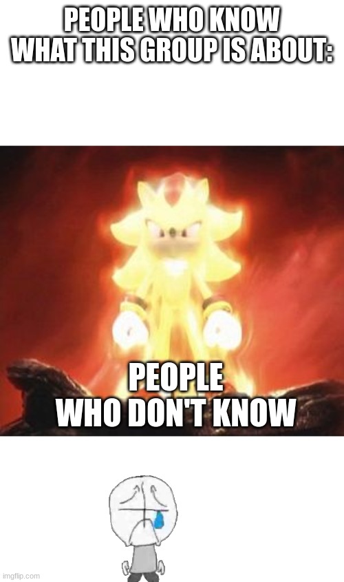 im saying | PEOPLE WHO KNOW WHAT THIS GROUP IS ABOUT:; PEOPLE WHO DON'T KNOW | image tagged in super shadow,if you know you know | made w/ Imgflip meme maker