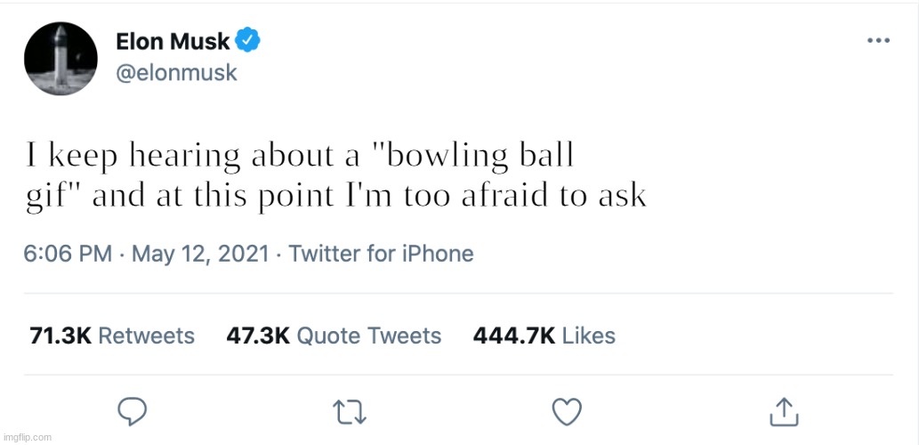 i dont wanna know | I keep hearing about a "bowling ball gif" and at this point I'm too afraid to ask | image tagged in elon musk blank tweet | made w/ Imgflip meme maker