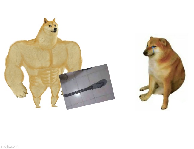 the true god | image tagged in memes,buff doge vs cheems | made w/ Imgflip meme maker