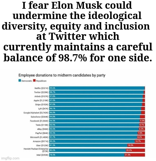 I fear Elon Musk could undermine the ideological diversity, equity and inclusion; at Twitter which currently maintains a careful balance of 98.7% for one side. | made w/ Imgflip meme maker