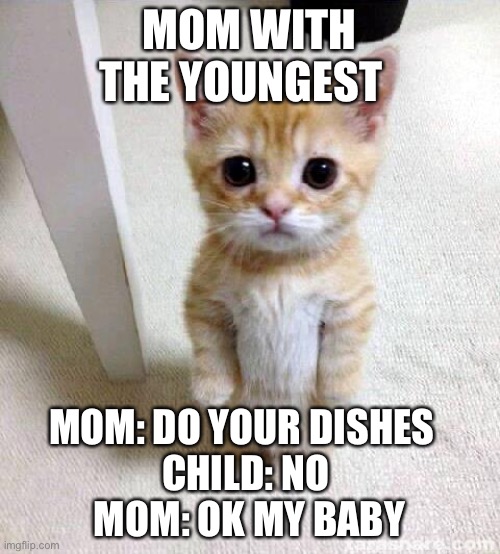 ?? | MOM WITH THE YOUNGEST; MOM: DO YOUR DISHES  
CHILD: NO 
MOM: OK MY BABY | image tagged in memes,cute cat | made w/ Imgflip meme maker