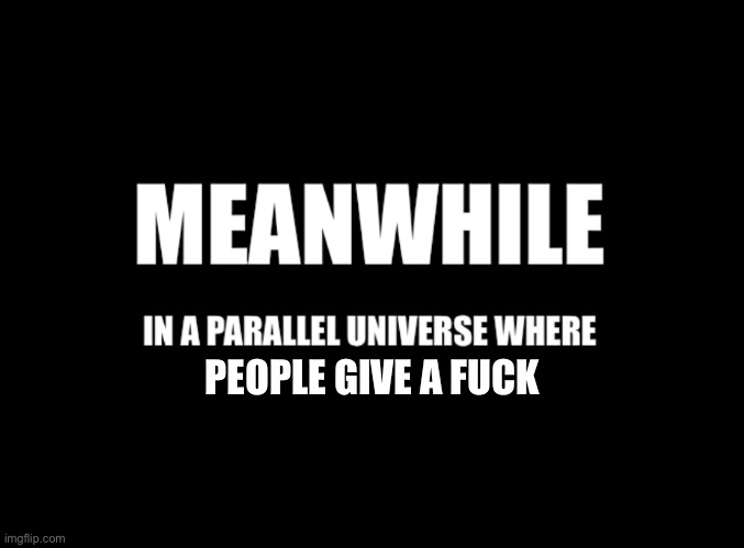 Meanwhile in a parallel universe | PEOPLE GIVE A FUCK | image tagged in meanwhile in a parallel universe | made w/ Imgflip meme maker
