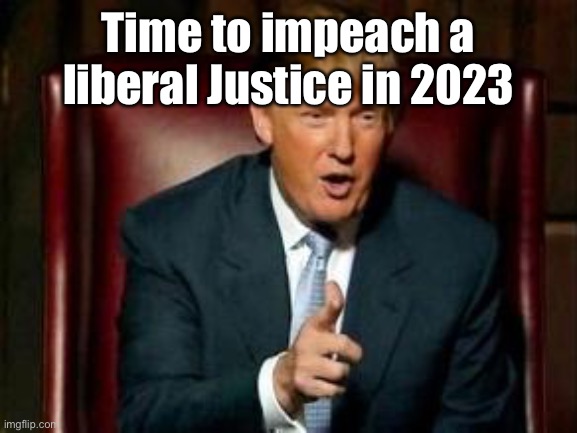 Donald Trump | Time to impeach a liberal Justice in 2023 | image tagged in donald trump | made w/ Imgflip meme maker