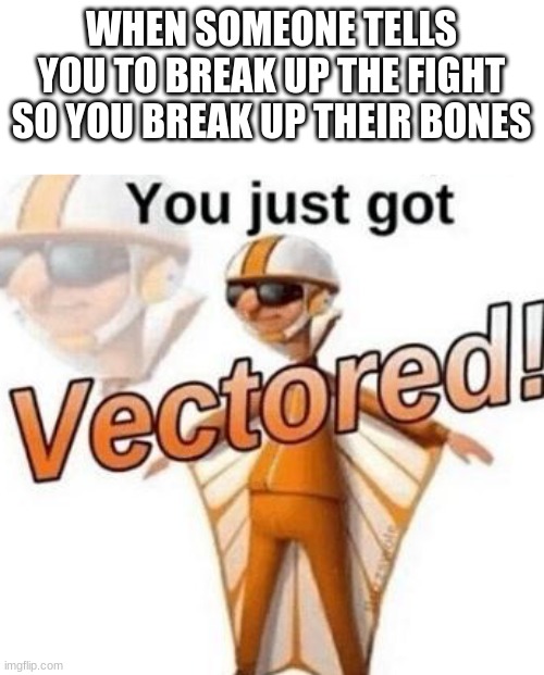 haha yeah he got destroyed | WHEN SOMEONE TELLS YOU TO BREAK UP THE FIGHT SO YOU BREAK UP THEIR BONES | image tagged in you just got vectored | made w/ Imgflip meme maker