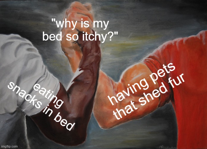 Epic Handshake Meme | "why is my bed so itchy?"; having pets that shed fur; eating snacks in bed | image tagged in memes,epic handshake | made w/ Imgflip meme maker
