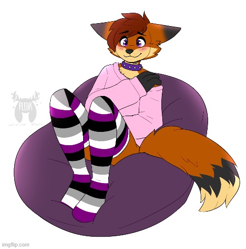 Cute ace boi (By Fleurfurr) | image tagged in furry,femboy,cute,adorable,socks,ace | made w/ Imgflip meme maker