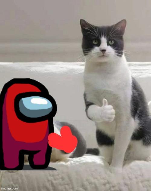 THUMBS UP CATS | image tagged in thumbs up cats | made w/ Imgflip meme maker